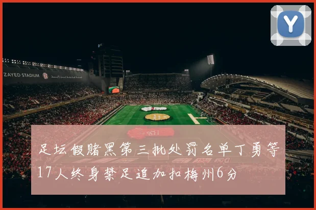 足坛假赌黑第三批处罚名单丁勇等17人终身禁足追加扣梅州6分