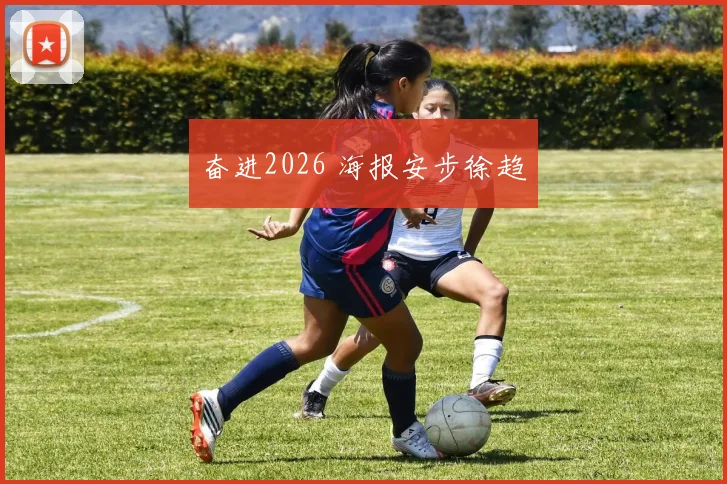 奋进2026 海报安步徐趋